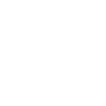 icon-pelaksanaan-w